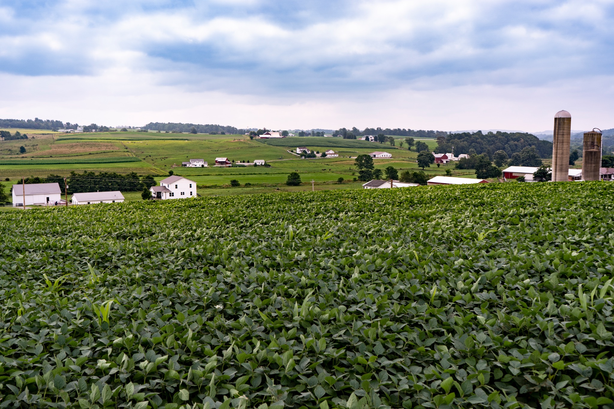 Fields and farm buildings spread across a rolling rural landscape