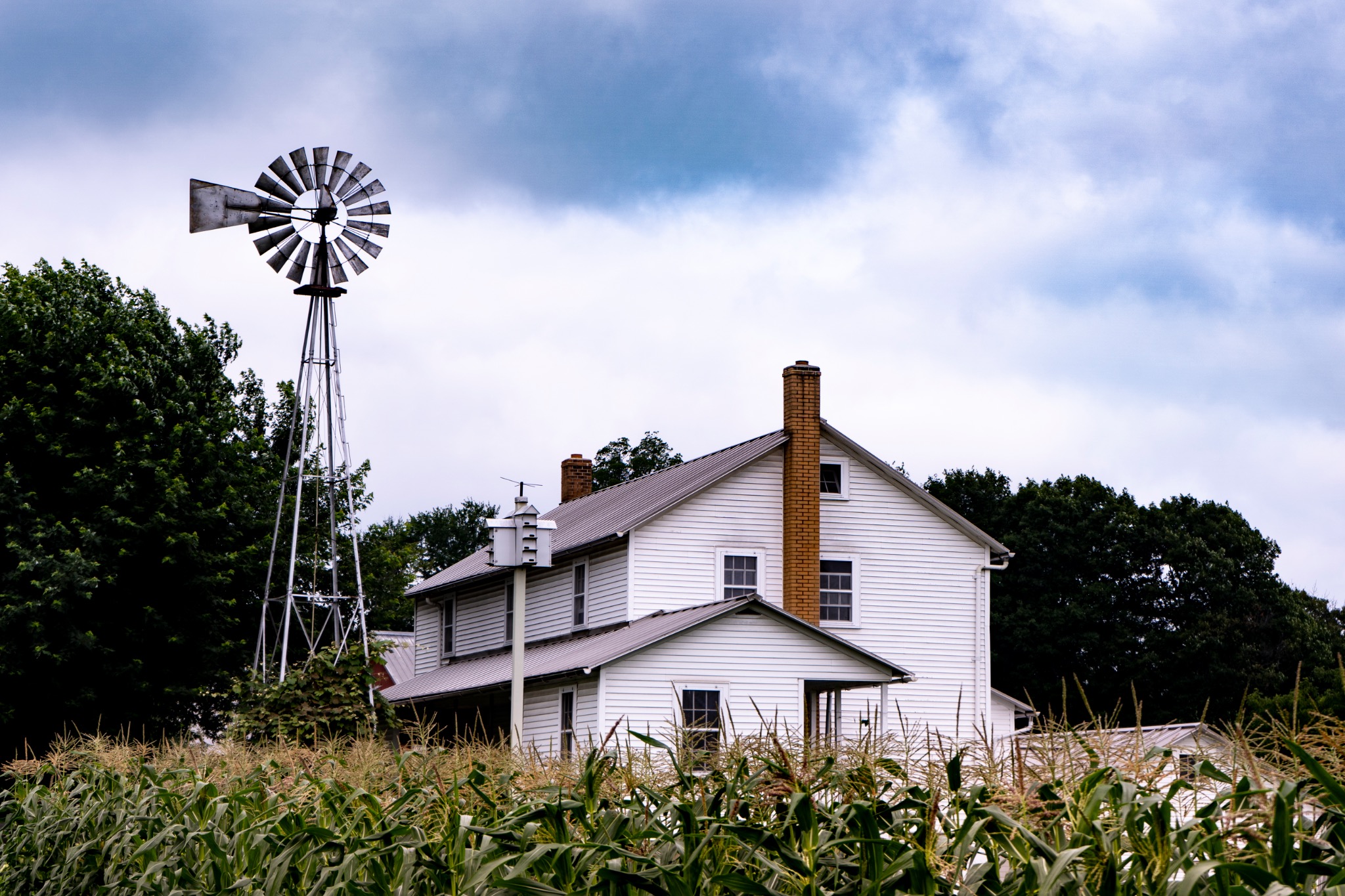A rural farmhouse beside a windmill and a field