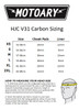 HJC V31 Carbon