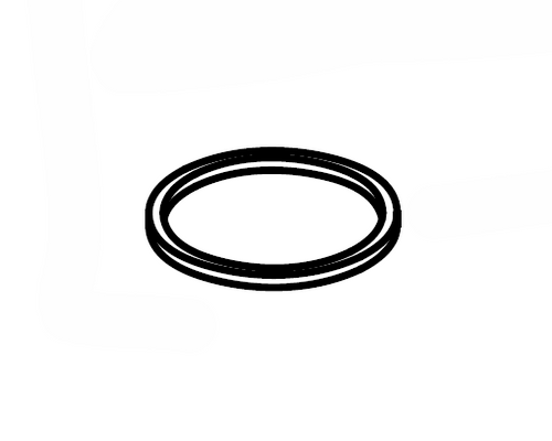 Sealing Ring (341331)