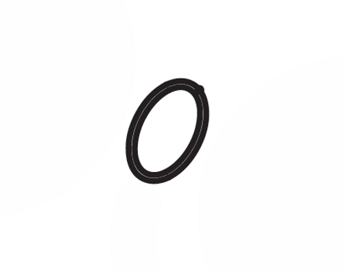 O-Ring (2306142)