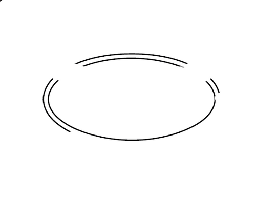 O-Ring (L108.06)