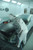 Sagola 3300 GTO 1.40 mm EVO Spray Gun