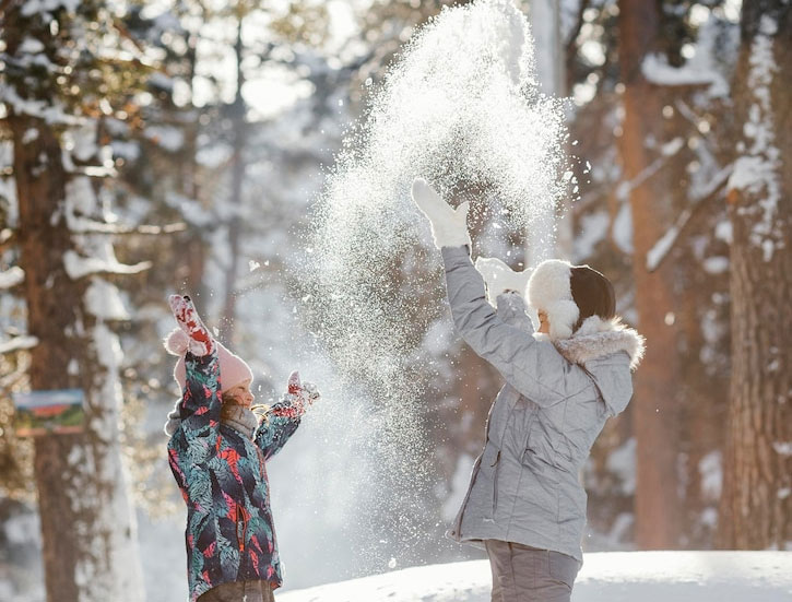 10 Fun Things to Do on a Snow Day SnoBloxSnojax