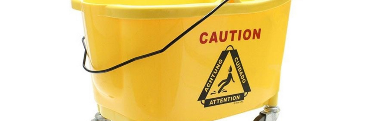 Mop Bucket and Wringer