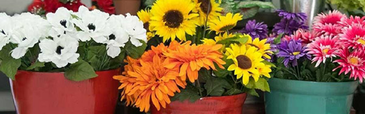 Floral Buckets and Displays