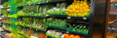 Grocery
