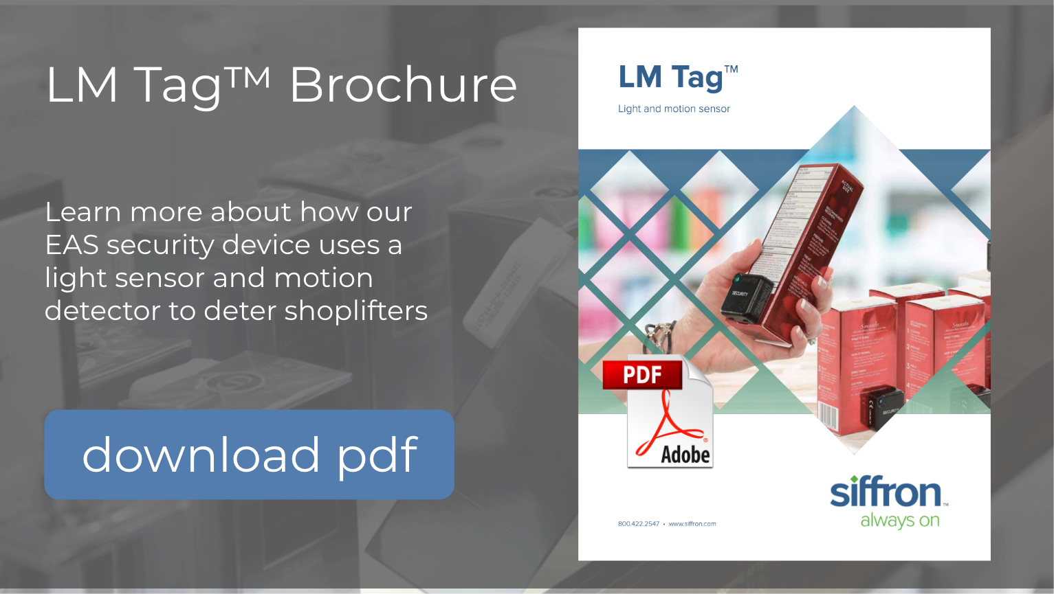 lm tag brochure