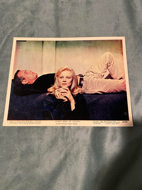 Sweet Bird of Youth Paul Newman Original Photo