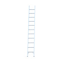 Aluminium single ladder standing upright with visible rungs.