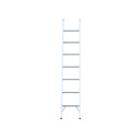 Aluminium single ladder with eight rungs for industrial use.