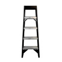 Fibreglass twin step ladder with four wide treads and sturdy A-frame design.