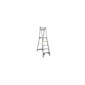 Indalex 1.5M aluminium ladder with five steps.