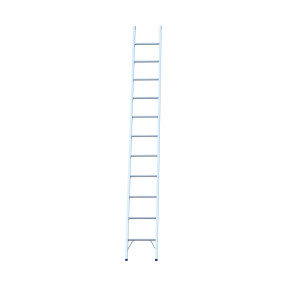 Aluminium single ladder standing upright with visible rungs.