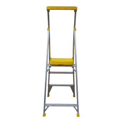 BAILEY Pro AL Platform Ladder featuring three steps and a large platform.