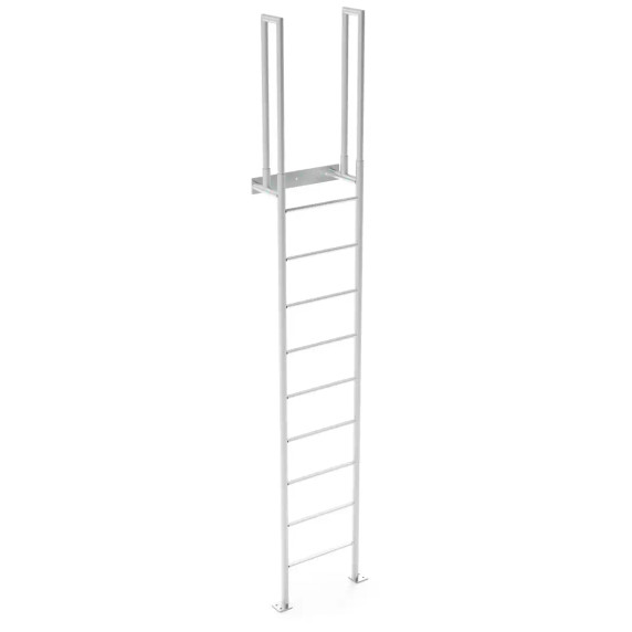 Vertical pit ladder with safety rails above machinery in a pit.