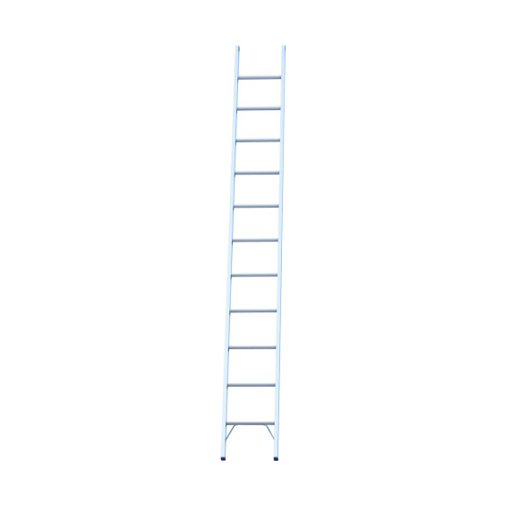 Aluminium single ladder standing upright with visible rungs.