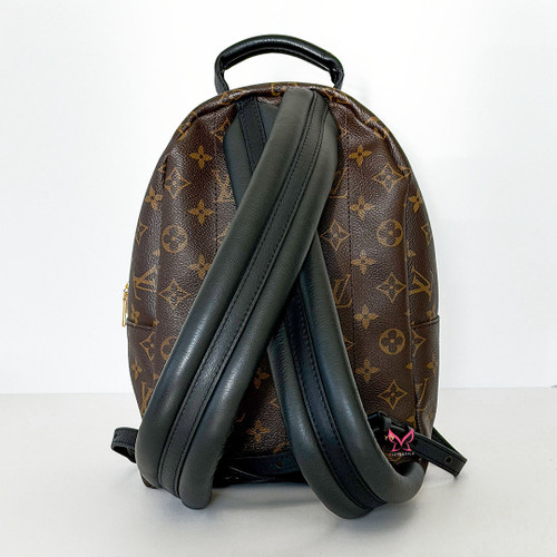 LOUIS VUITTON Palm Springs PM Backpack 