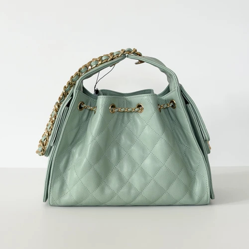 Small 25 Hobo Bag 26B Light Green Caviar Gold Hardware