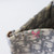 DIOR Dior Medium Book Tote Ecru Gray Oblique Embroidery 