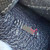 HERMES Kelly 25 Black Epsom Palladium G 