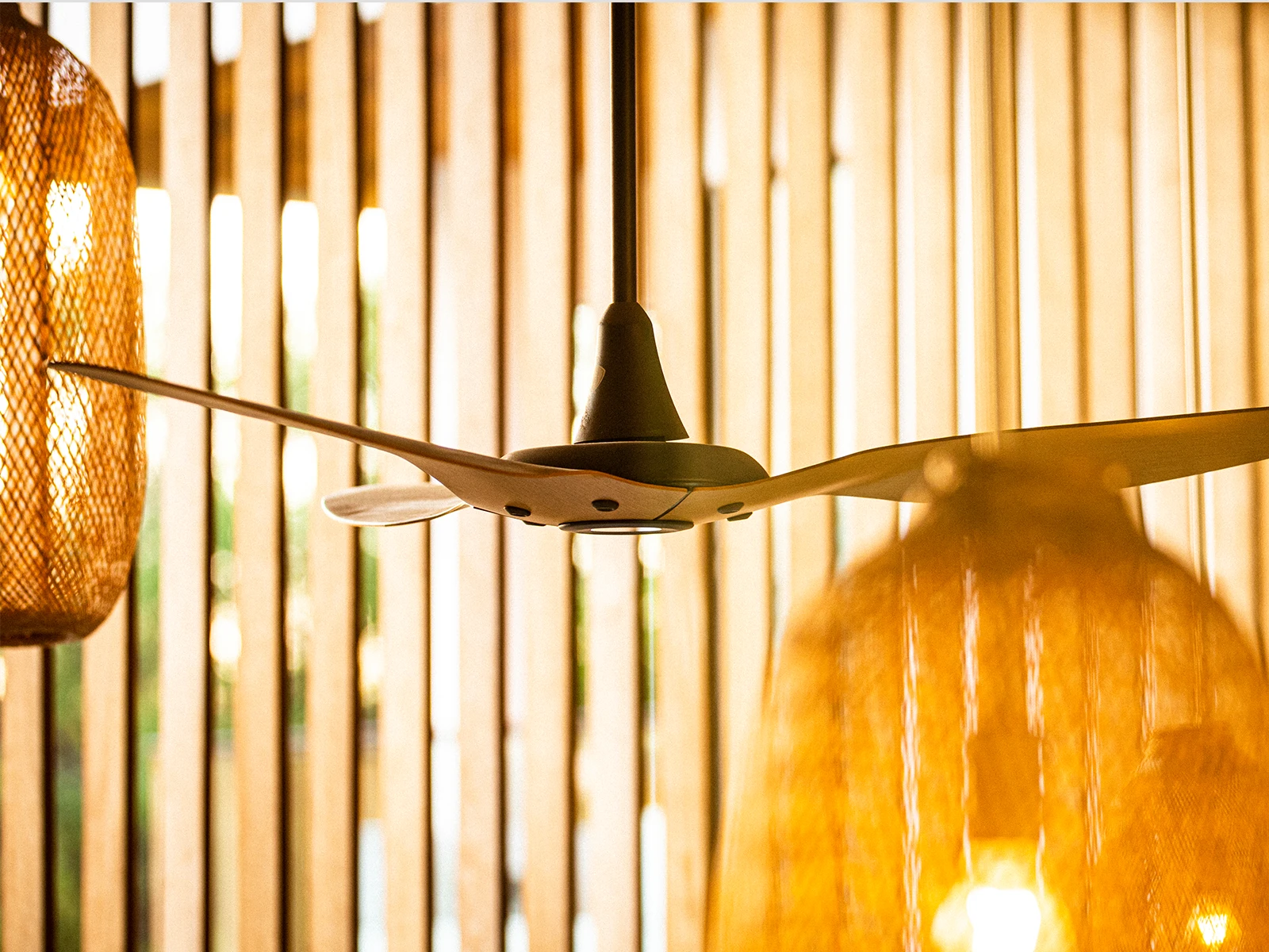 National Ceiling Fan Day