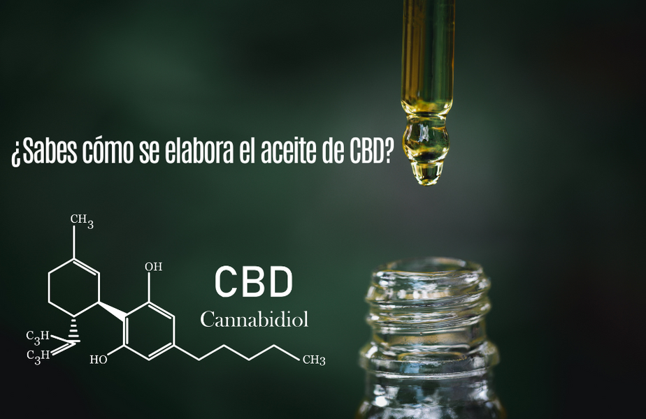 ¿Sabes cómo se elabora el aceite de CBD?