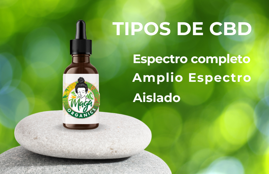 Tipos de CBD ¿Qué los diferencia?