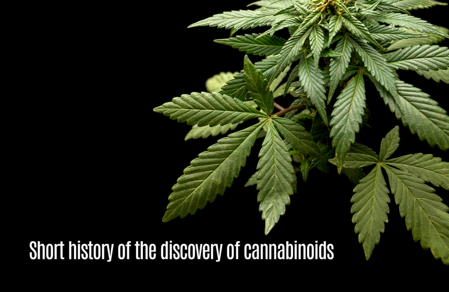 Short history of the discovery of cannabinoids 