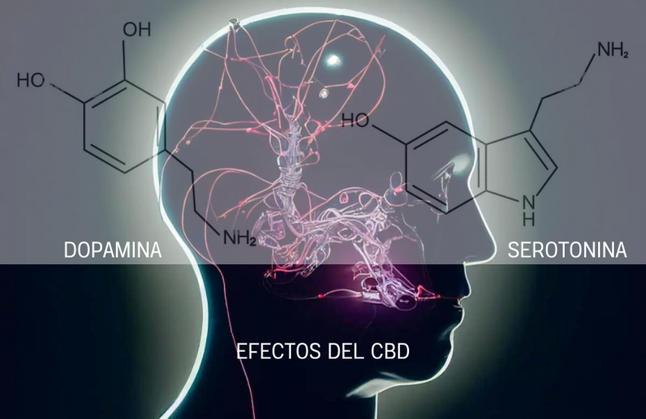 ¿El CBD afecta el estado mental de una persona?