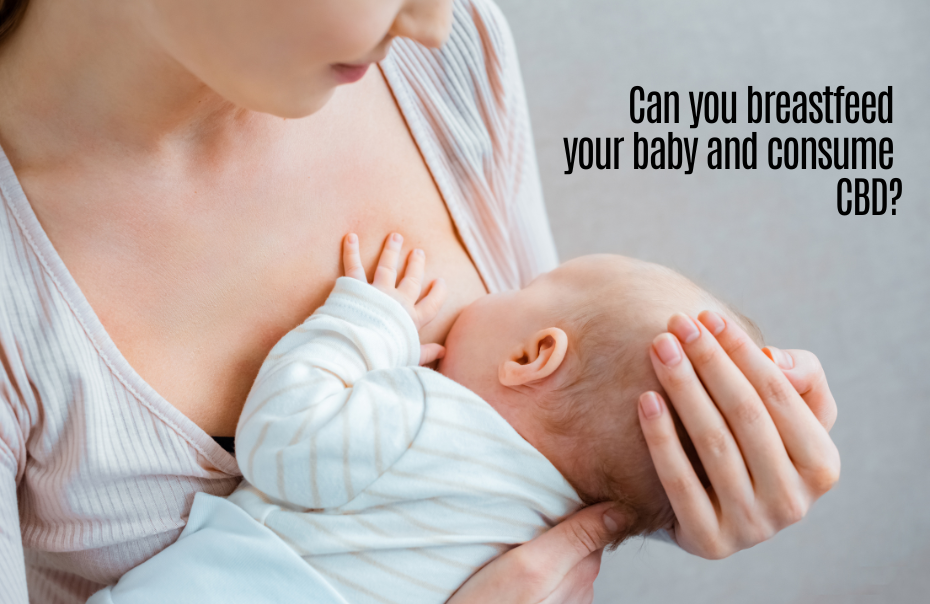 Can you breastfeed your baby and consume CBD?