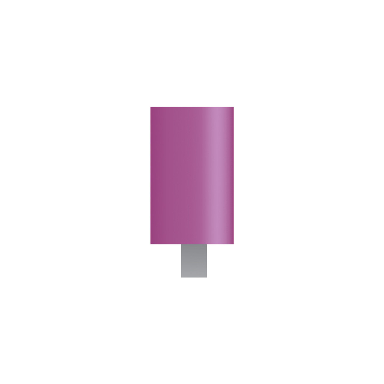 W170 Purple Mounted Stones 1/8" Shank (Pkg of 24)