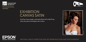 Exhibition Natural Canvas Satin 17" x 40' Roll S045404