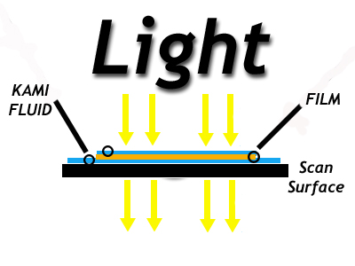kami-ligth-path-diagram.jpg