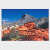 Post Card Calico Tanks &Turtlehead Peak