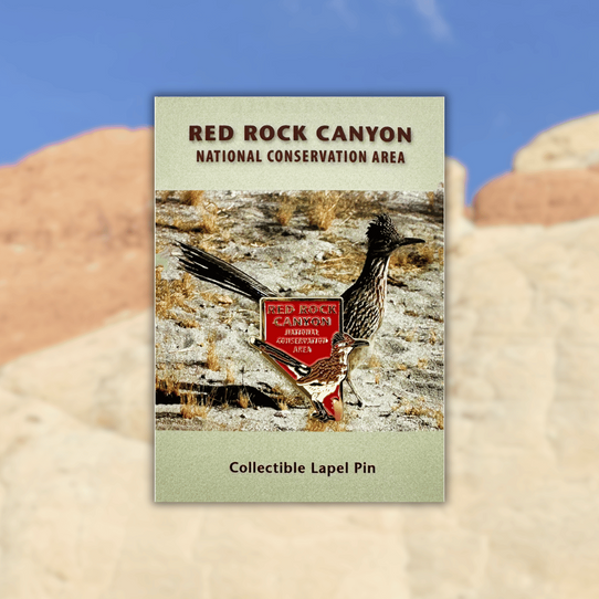 Red Rock Canyon NCA Roadrunner Lapel Pin