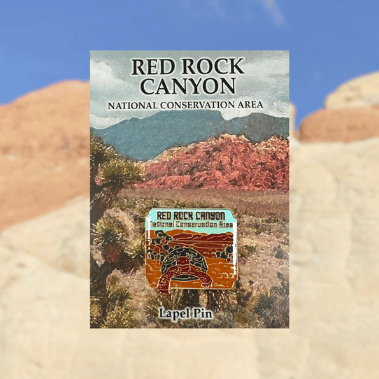 Red Rock Canyon NCA Tortoise Lapel Pin