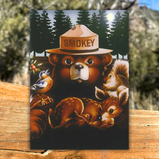 Smokey Bear & Friends Postcard