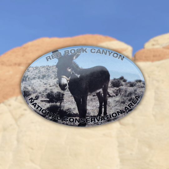 Red Rock Canyon NCA Magnet Oval Burro