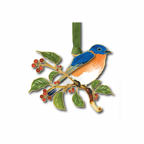 Baldwin 62777 Bluebird in Nature