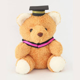 A plush teddy bear in brown with a black graduation cap and a colourful graduation sash. It has a soft white belly and paws.