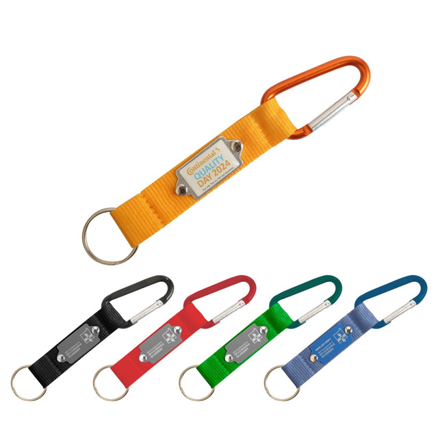 A collection of carabiner keyrings in orange, red, green, blue, and black, featuring a metal loop and a logo.