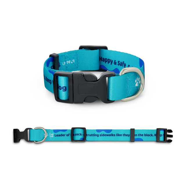A turquoise sublimated dog collar featuring a buckle and adjustable strap. The collar has a patterned design and logo.