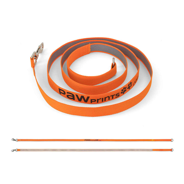 An orange printed dog lead with a grey interior and a metal clip, featuring a logo along its length.