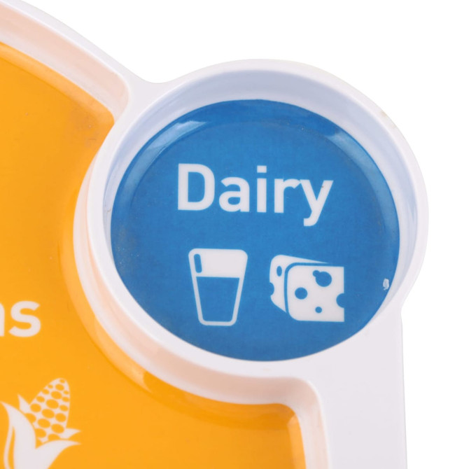 A melamine portion plate featuring sections for various food groups, predominantly orange and white, with a blue dairy section.