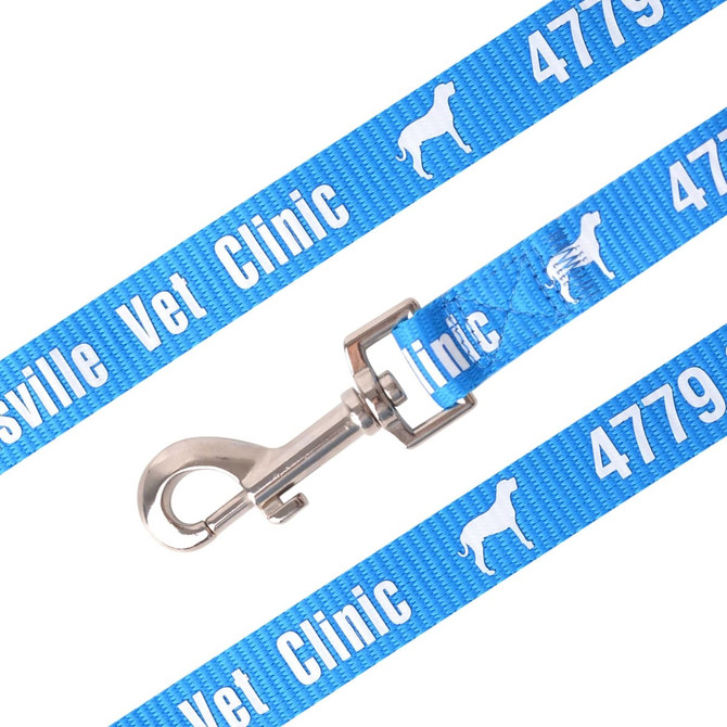 A polyester dog leash in bright blue featuring a silver clip and a logo.