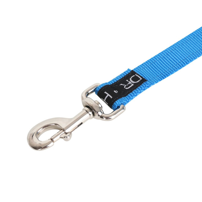 A detailed woven dog leash in bright blue with a metal clasp and branding tag.