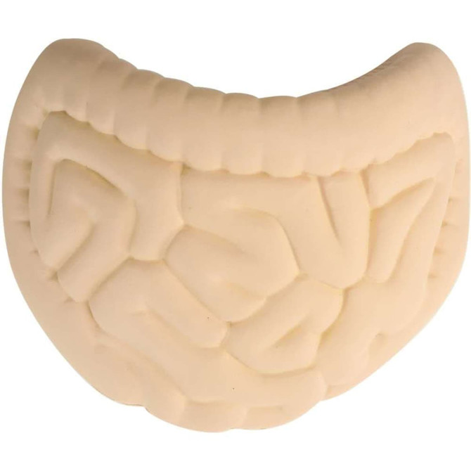 A beige intestines-shaped stress reliever with textured details, featuring a logo on one side.