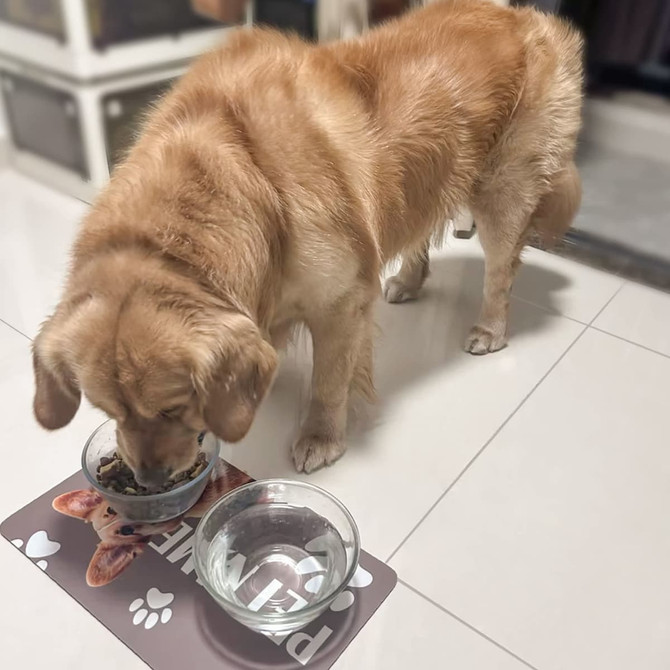A pet feeding mat with a dog eating from a bowl, featuring a light brown colour and a paw print design.