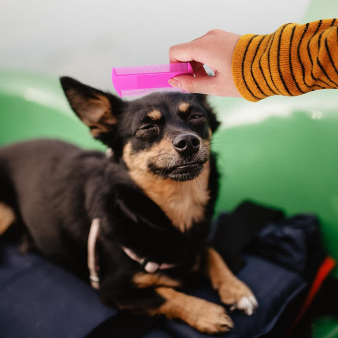 A pink pet flea comb being held above a relaxed black and brown dog. The dog is sitting on a green surface.